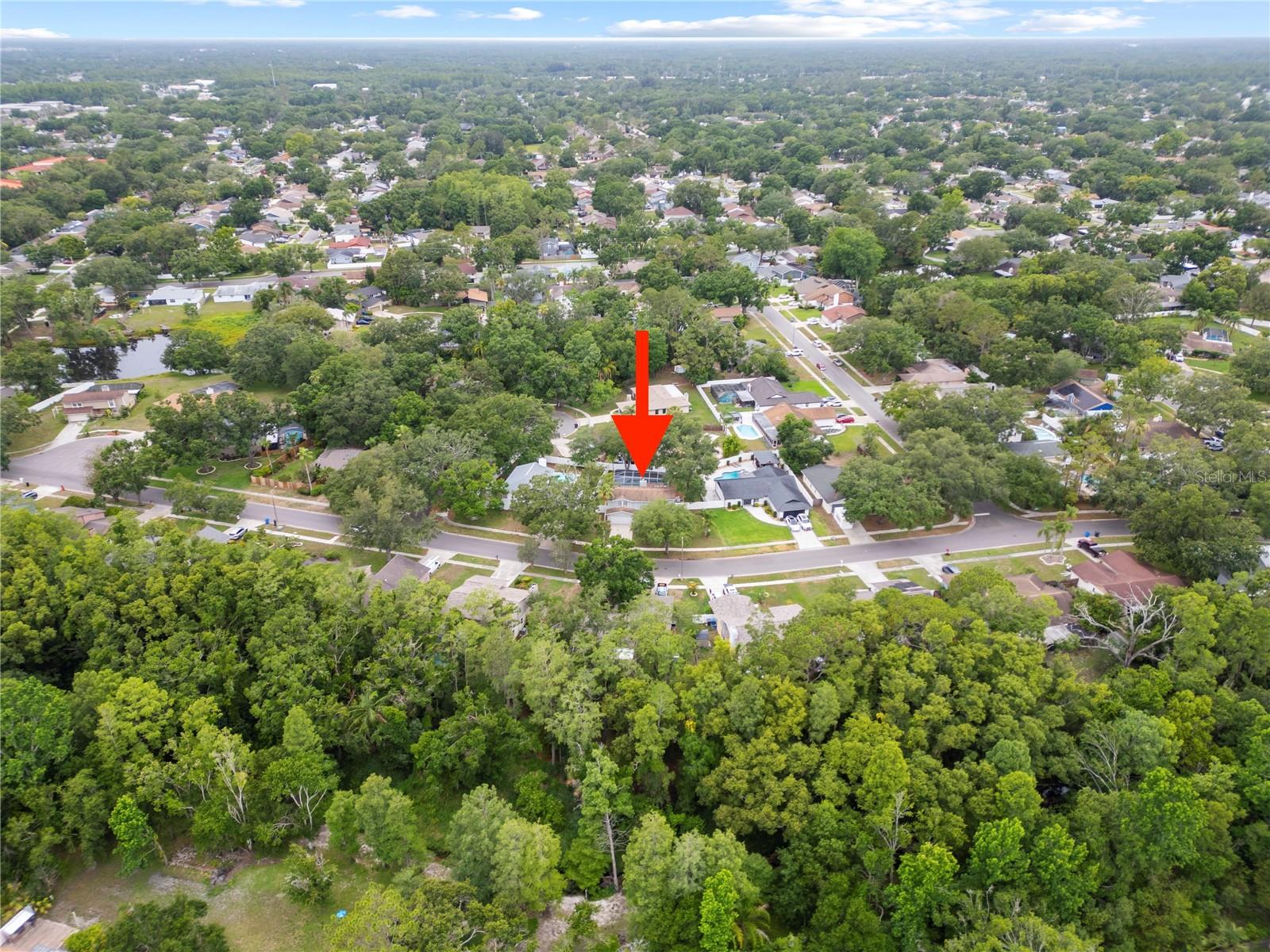 4509 GRAINARY AVE, TAMPA, FL, 33624