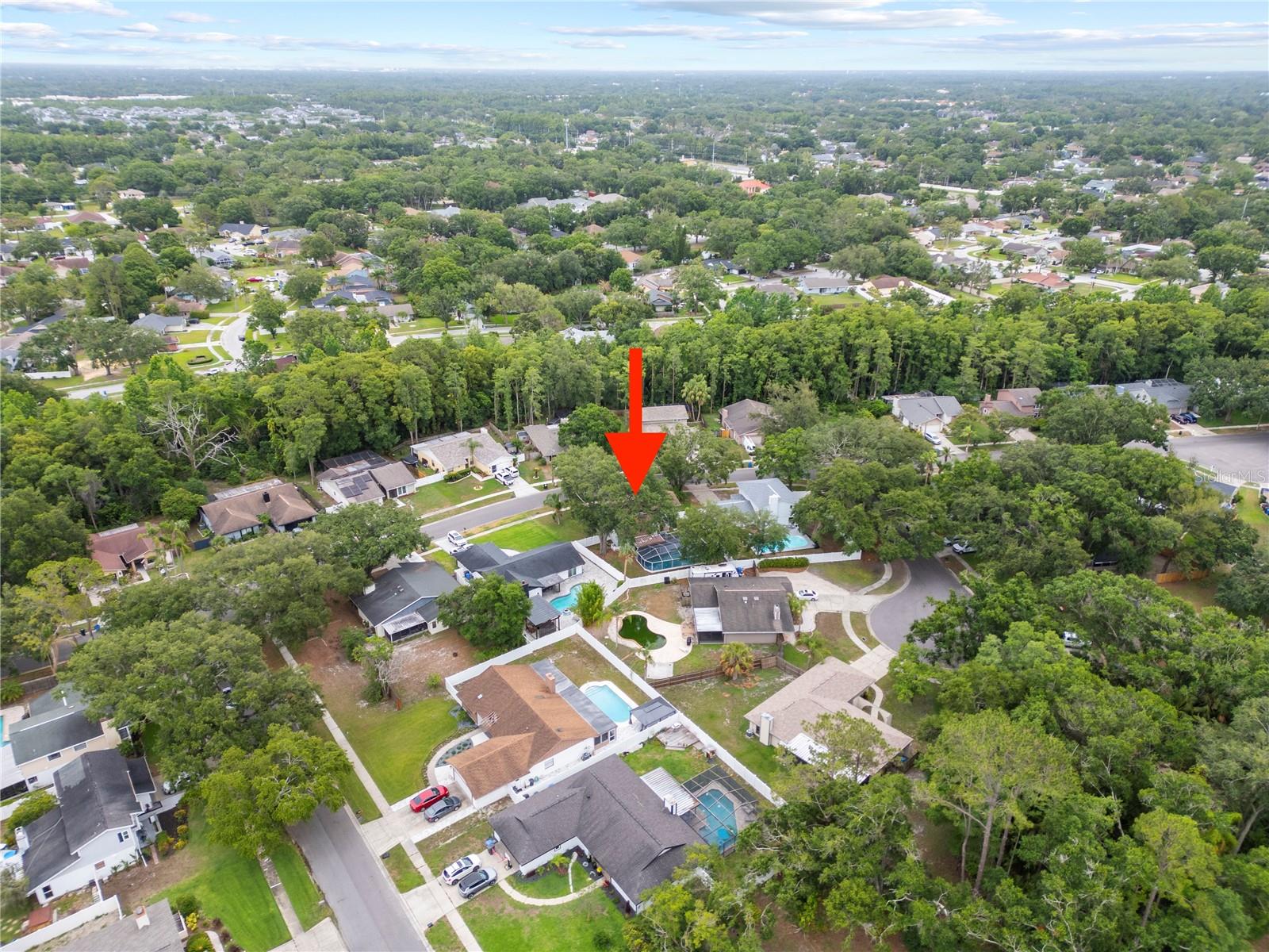 4509 GRAINARY AVE, TAMPA, FL, 33624