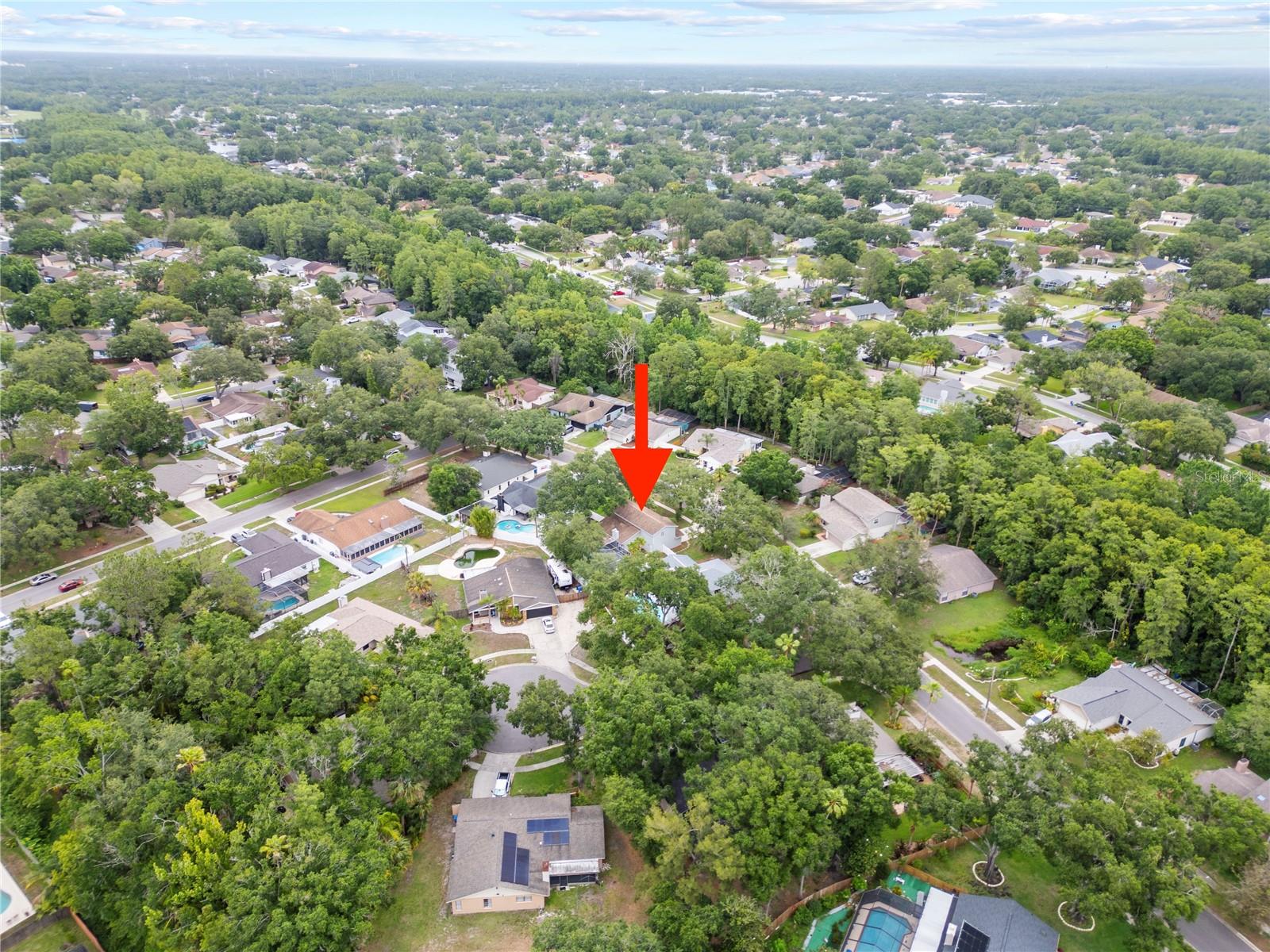 4509 GRAINARY AVE, TAMPA, FL, 33624