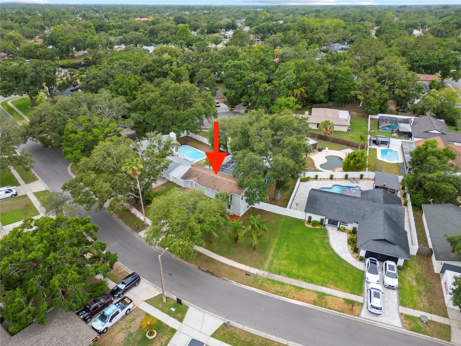 4509 GRAINARY AVE, TAMPA, FL, 33624