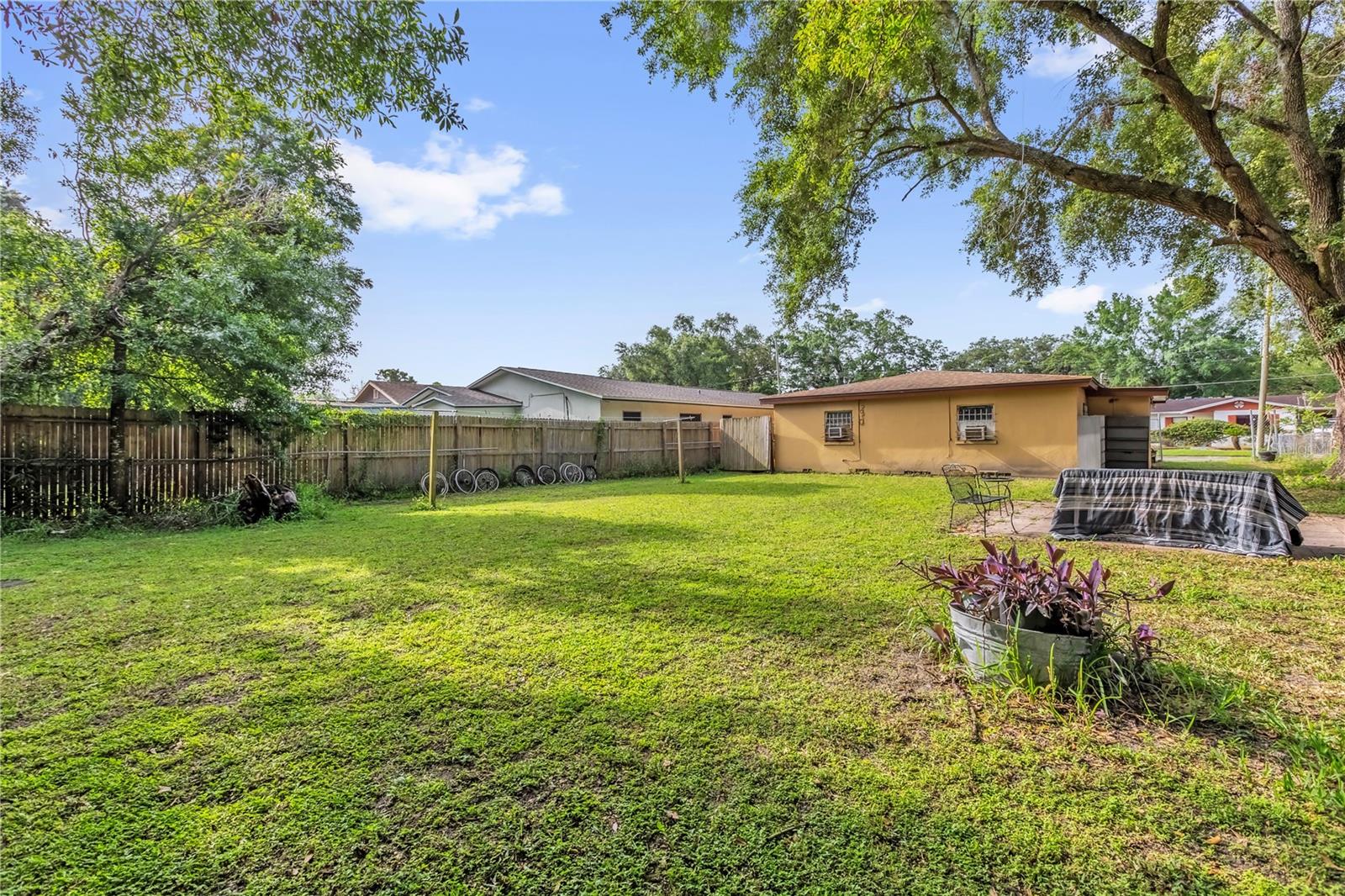 4133 CEPEDA ST, ORLANDO, FL, 32811