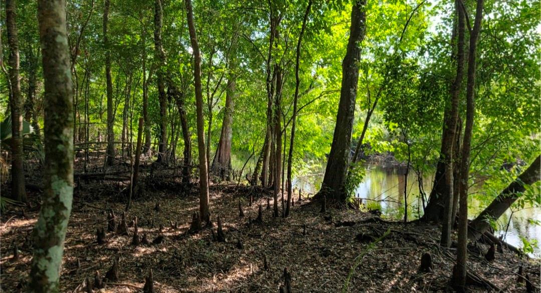 7909 S LESLIE PT, FLORAL CITY, FL, 34436