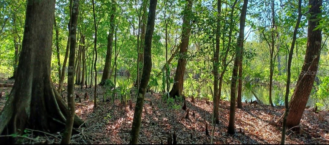 7909 S LESLIE PT, FLORAL CITY, FL, 34436