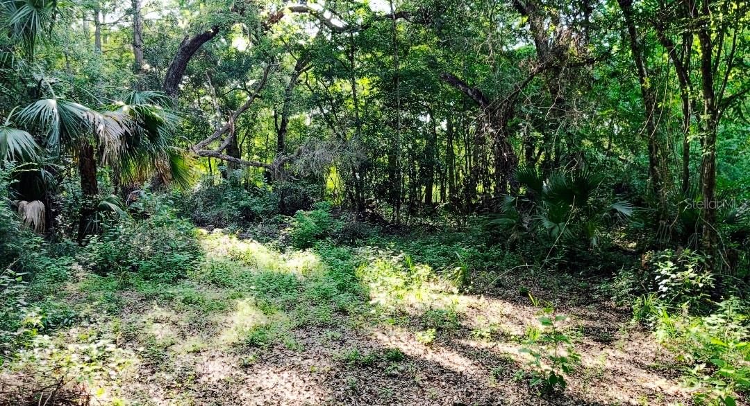 7909 S LESLIE PT, FLORAL CITY, FL, 34436