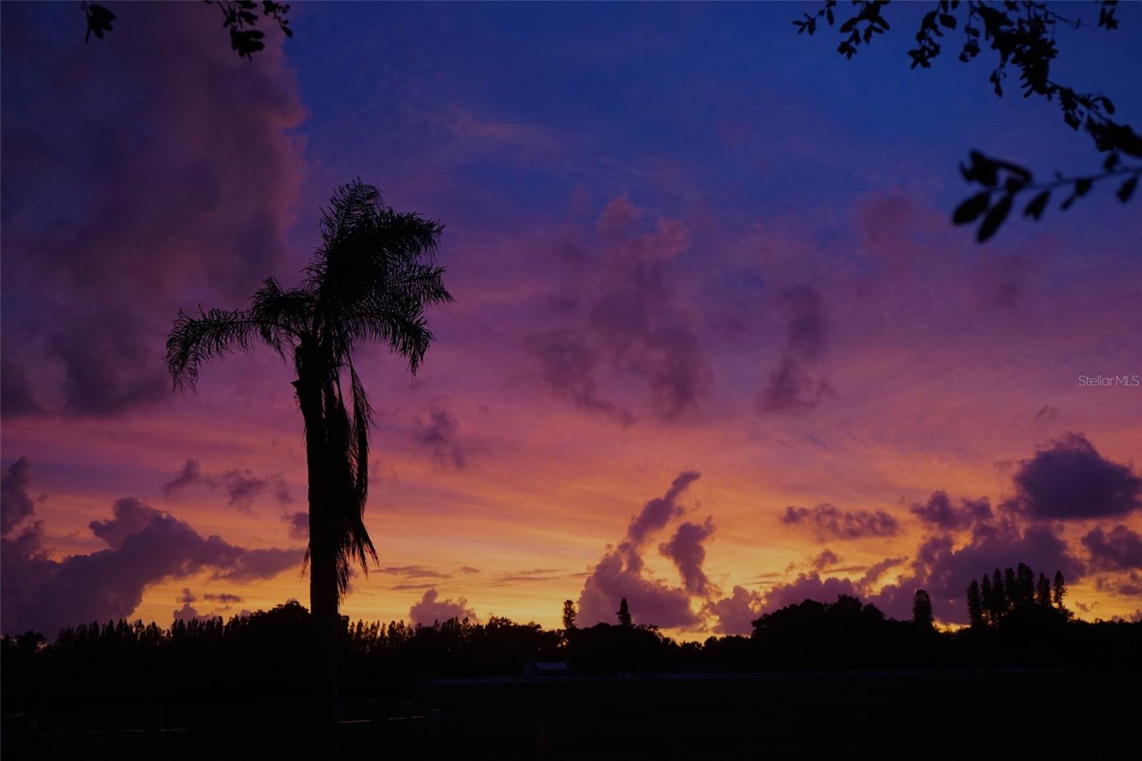 1505 43RD AVENUE DR W, PALMETTO, FL, 34221