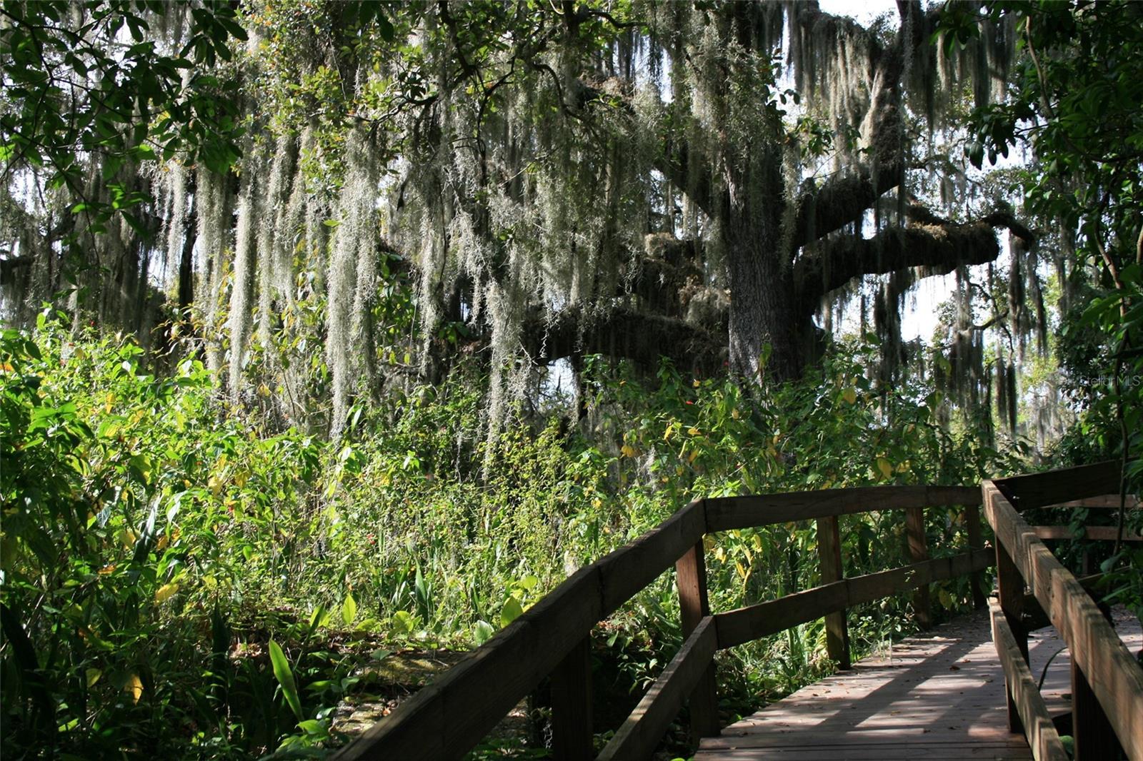 1505 43RD AVENUE DR W, PALMETTO, FL, 34221