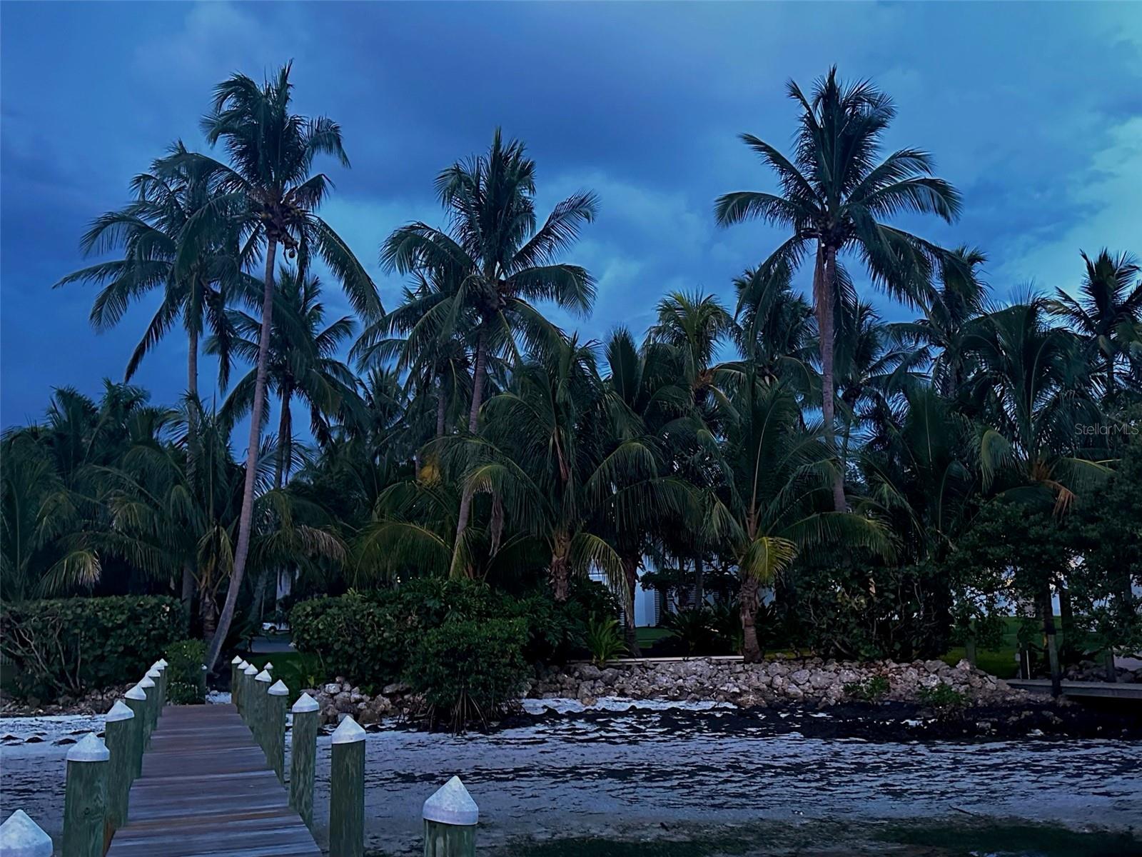 1505 43RD AVENUE DR W, PALMETTO, FL, 34221