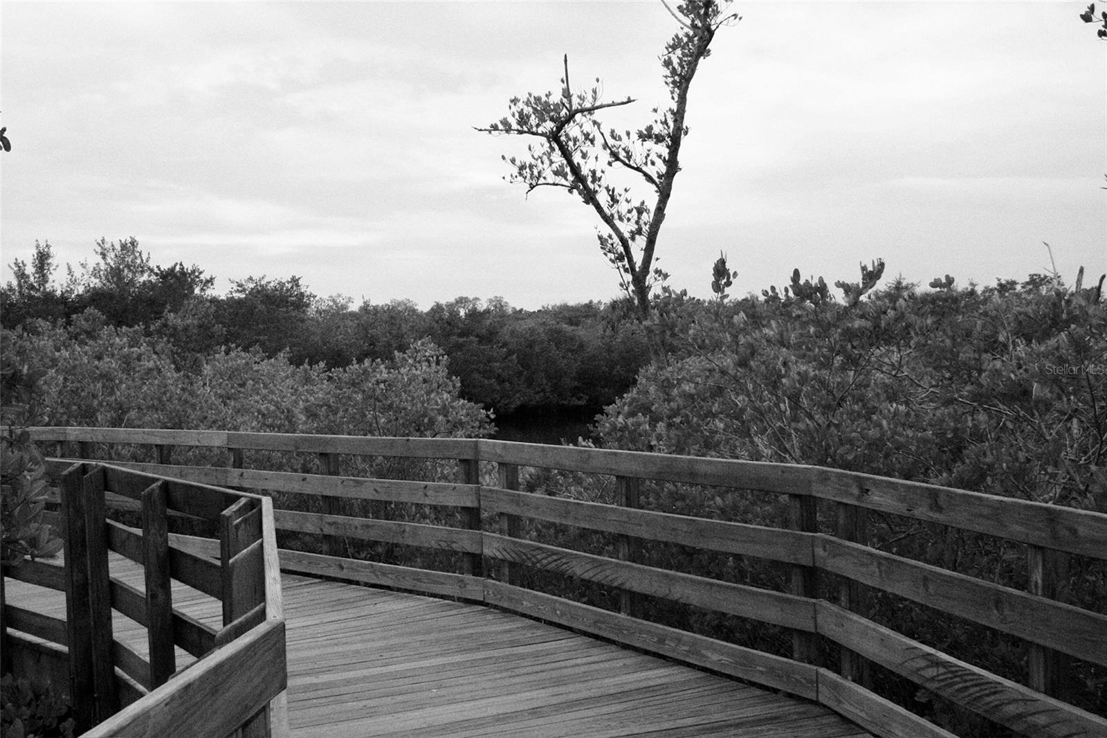 1505 43RD AVENUE DR W, PALMETTO, FL, 34221