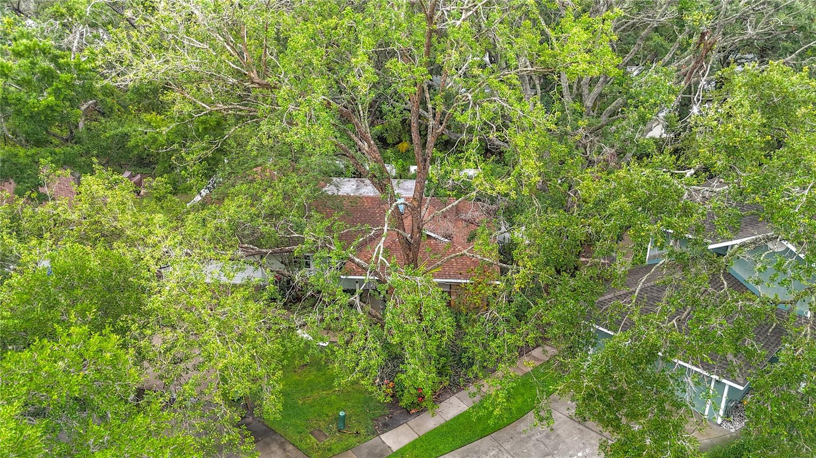 6901 ARBOR OAKS CT, BRADENTON, FL, 34209