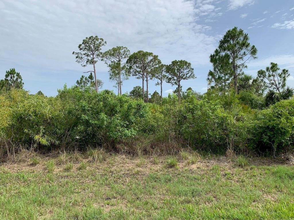 12407 COLLEGE AVE, PORT CHARLOTTE, FL, 33953