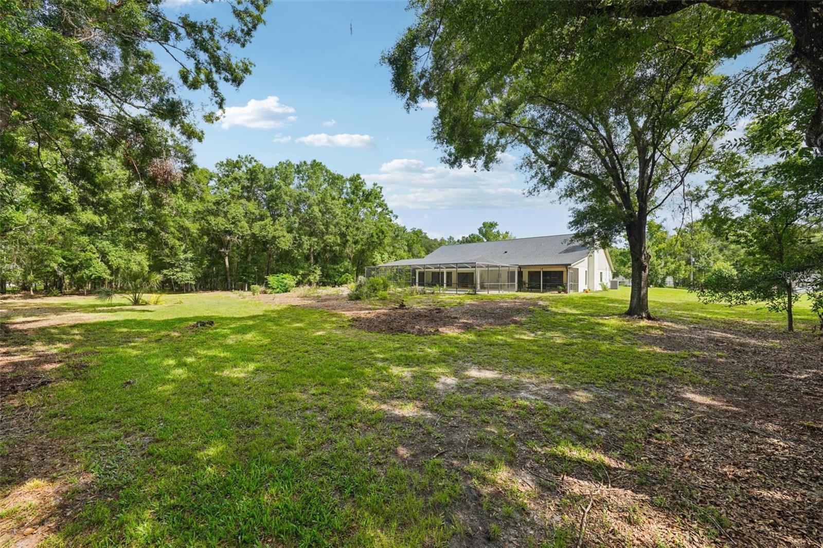 25238 BUNTING CIR, LAND O LAKES, FL, 34639