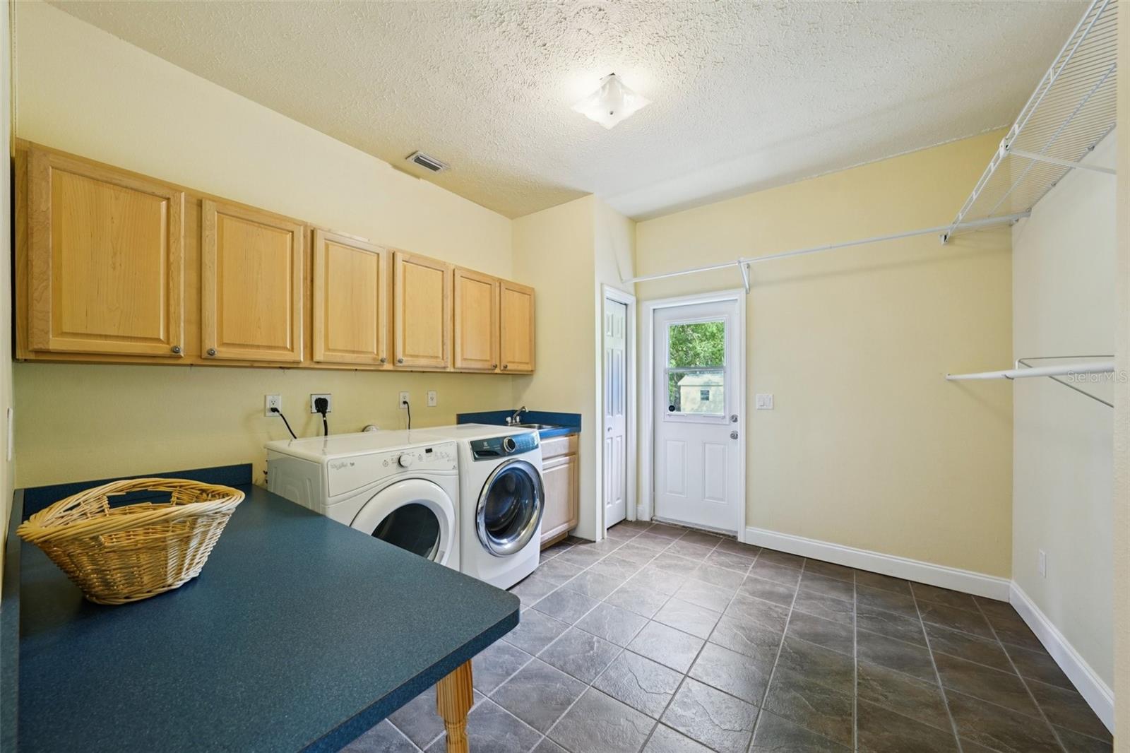 25238 BUNTING CIR, LAND O LAKES, FL, 34639