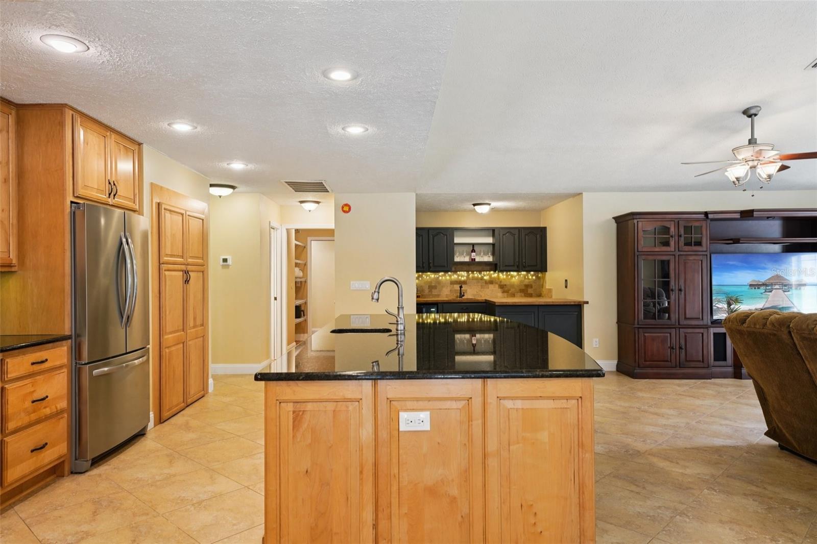 25238 BUNTING CIR, LAND O LAKES, FL, 34639