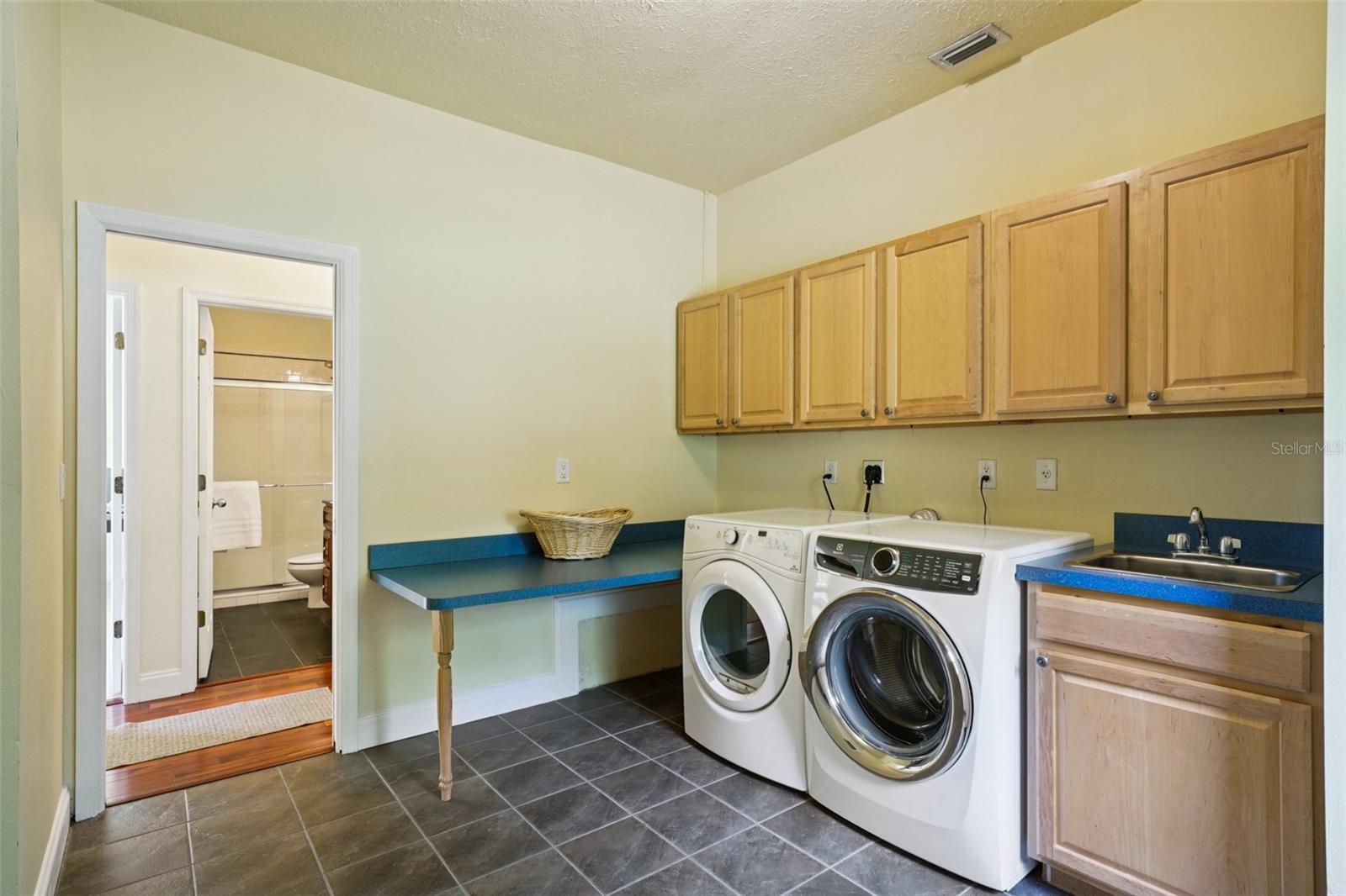 25238 BUNTING CIR, LAND O LAKES, FL, 34639