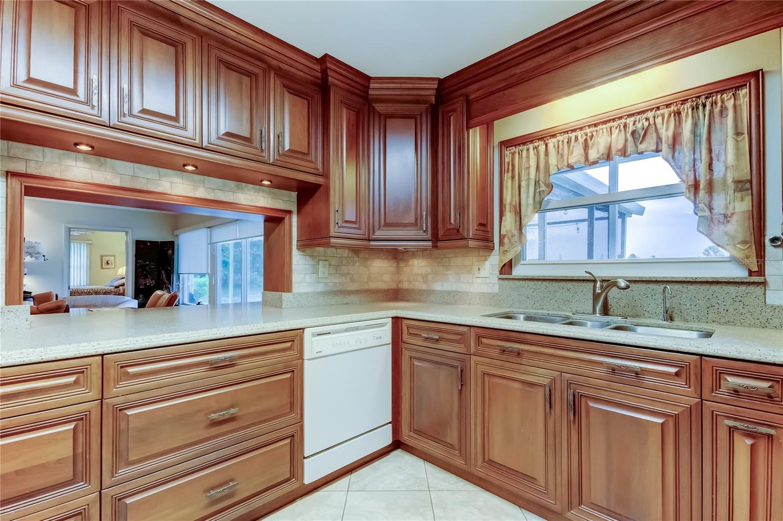 1407 BRATTLEBORO CIR, SUN CITY CENTER, FL, 33573