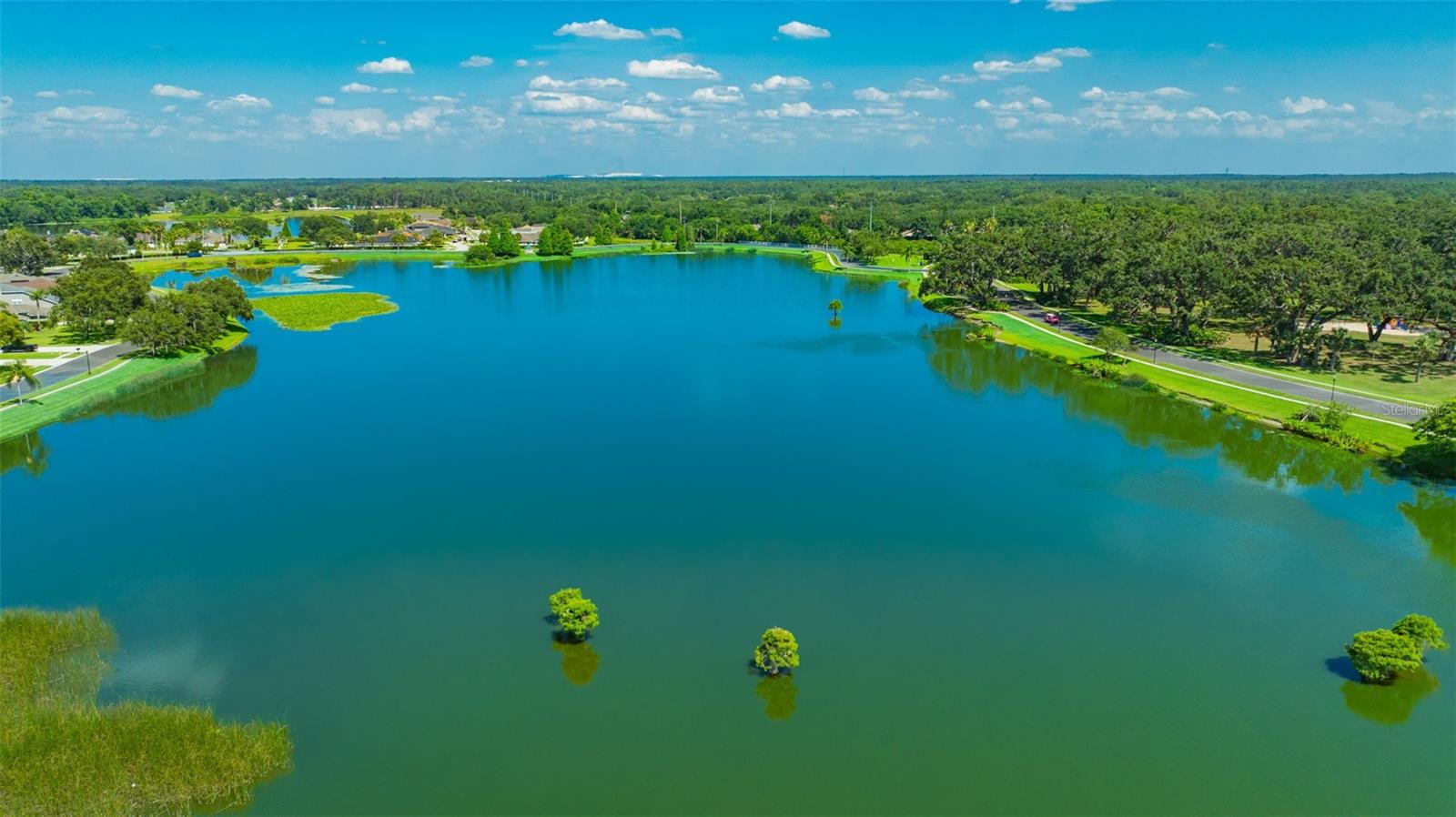 2847 MOSSY TIMBER TRL, VALRICO, FL, 33596