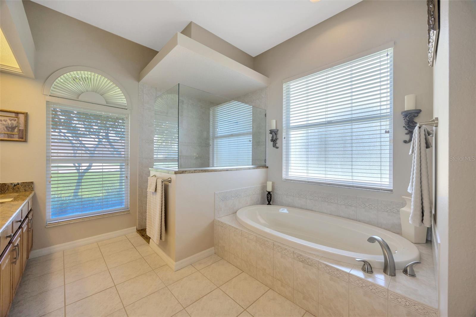 2847 MOSSY TIMBER TRL, VALRICO, FL, 33596