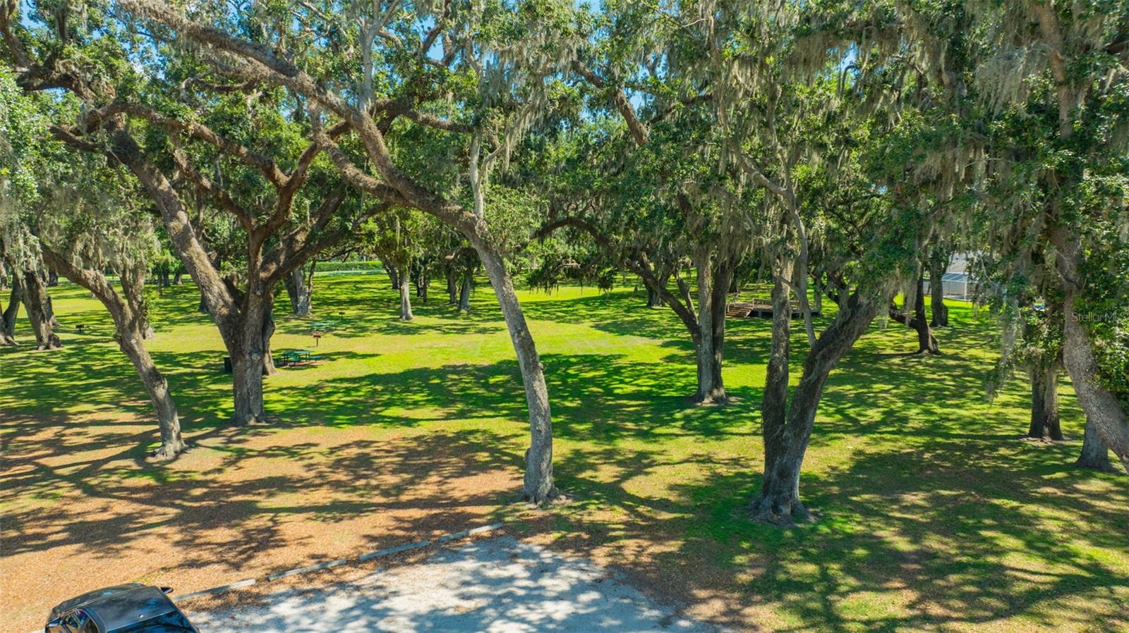 2847 MOSSY TIMBER TRL, VALRICO, FL, 33596