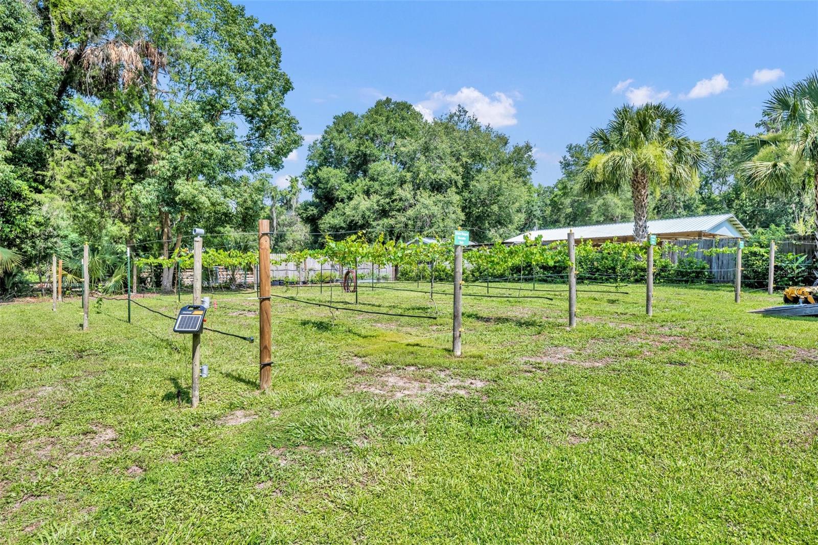13091 OLD CRYSTAL RIVER RD, BROOKSVILLE, FL, 34601