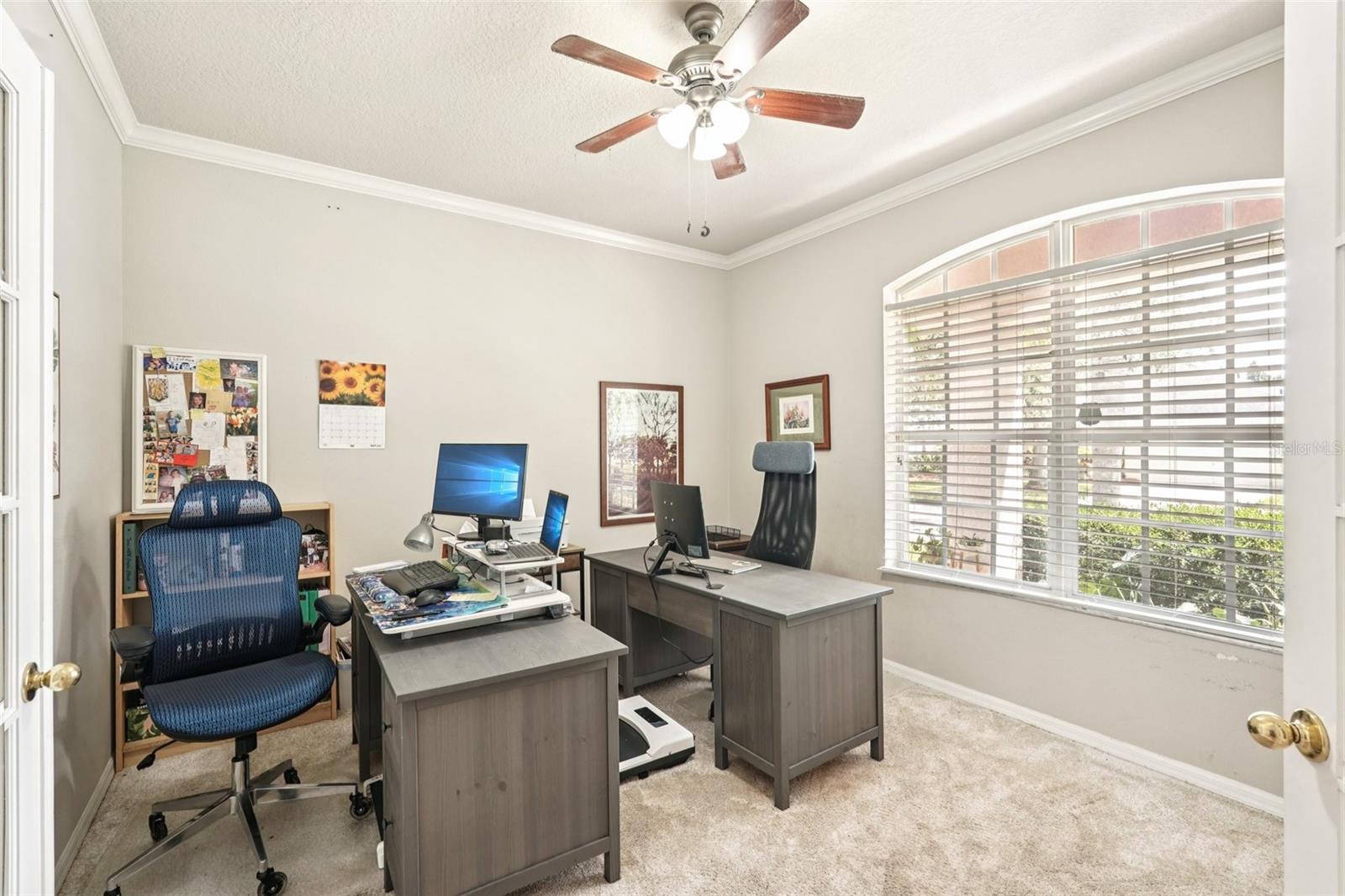 10905 WILDCAT DR, RIVERVIEW, FL, 33579