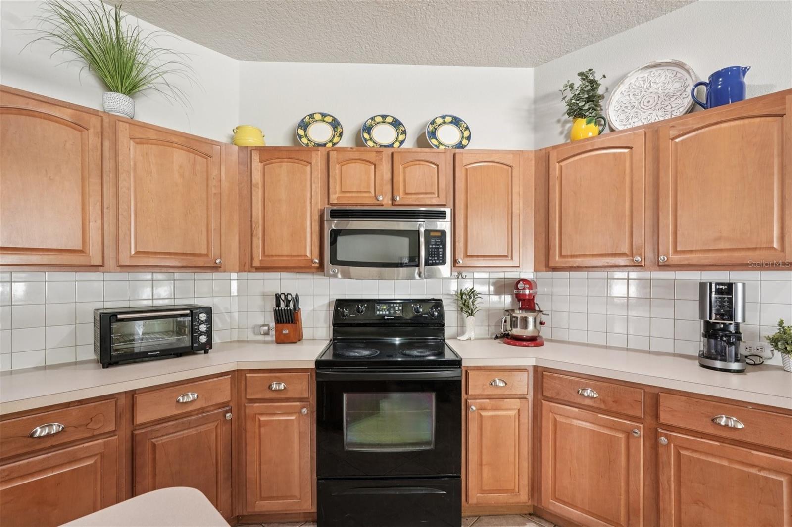 10905 WILDCAT DR, RIVERVIEW, FL, 33579