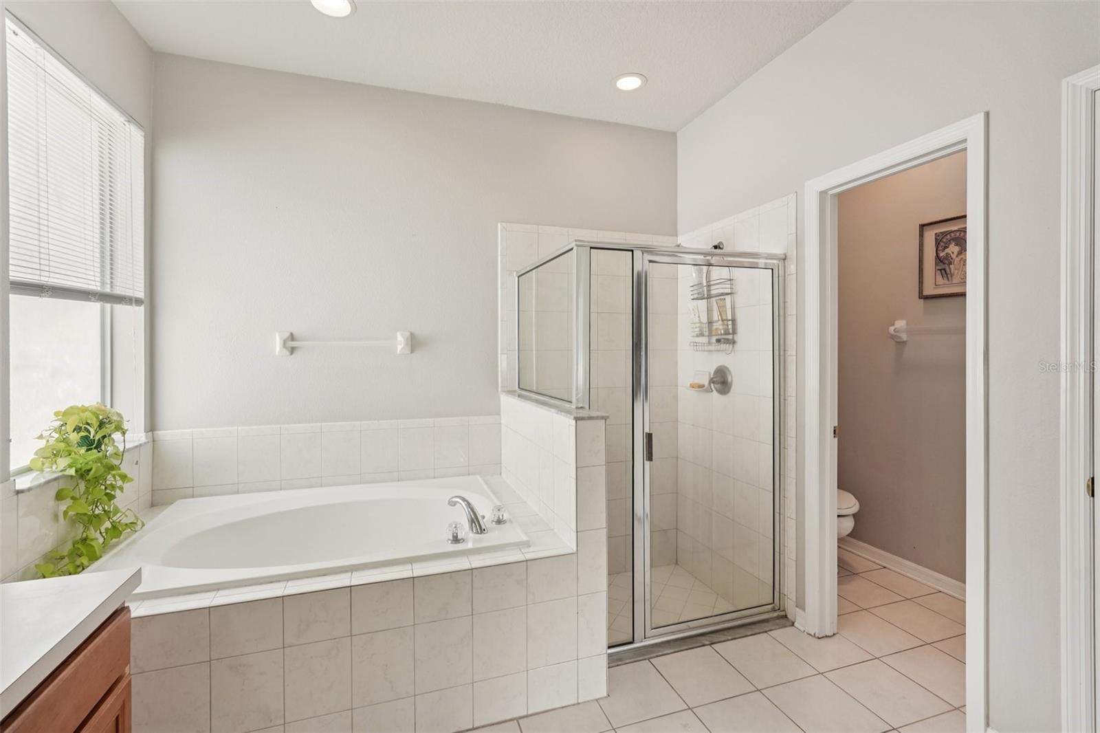 10905 WILDCAT DR, RIVERVIEW, FL, 33579