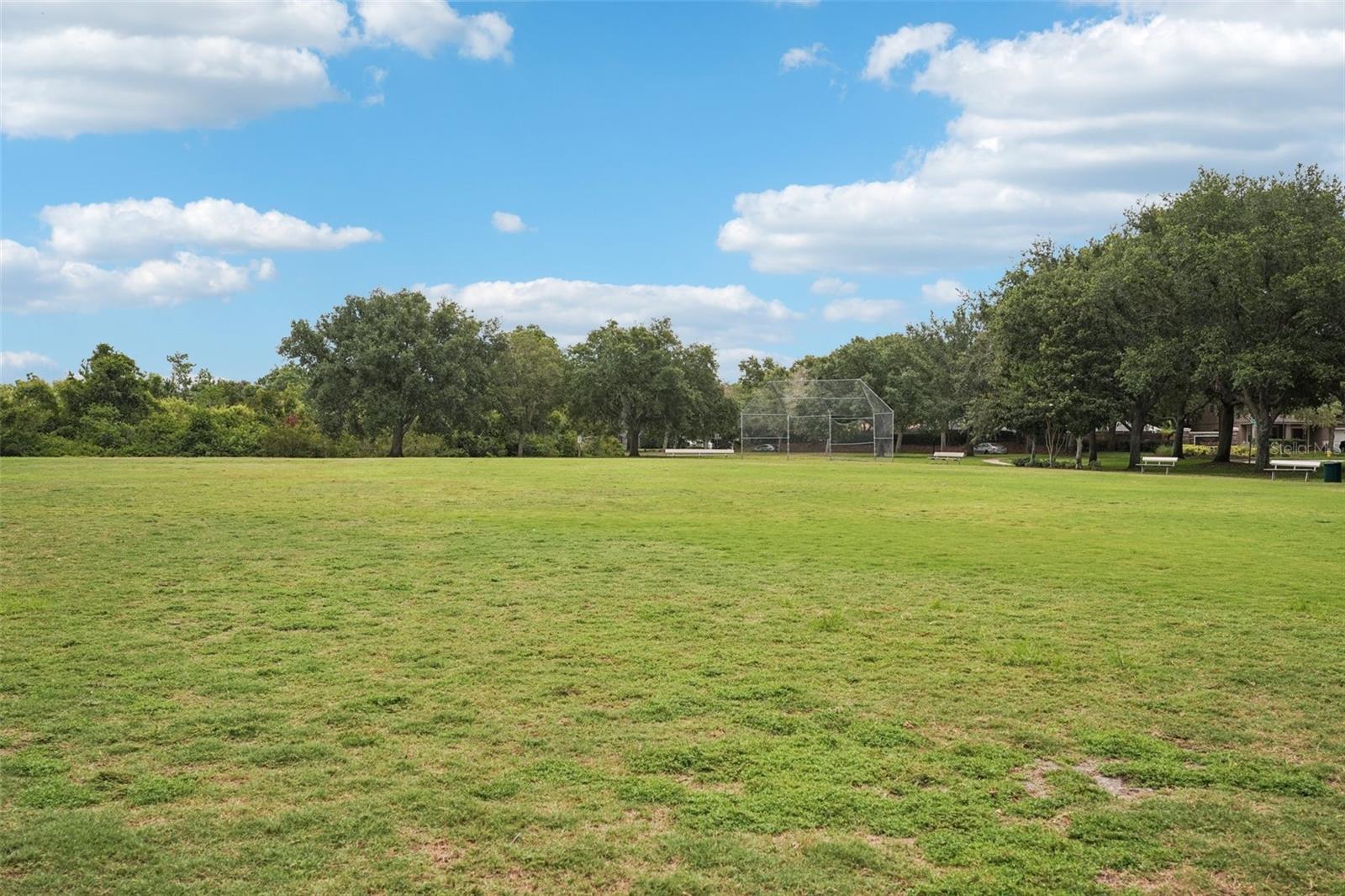 10905 WILDCAT DR, RIVERVIEW, FL, 33579