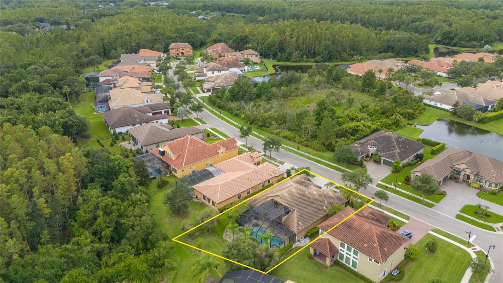 20023 PERGOLA BEND LN, TAMPA, FL, 33647