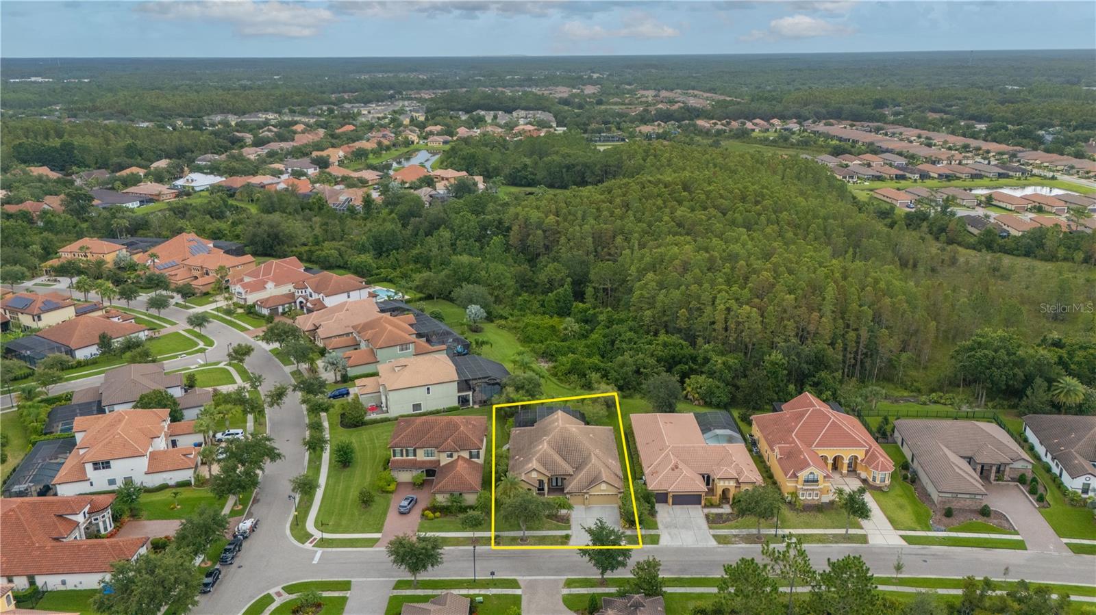 20023 PERGOLA BEND LN, TAMPA, FL, 33647