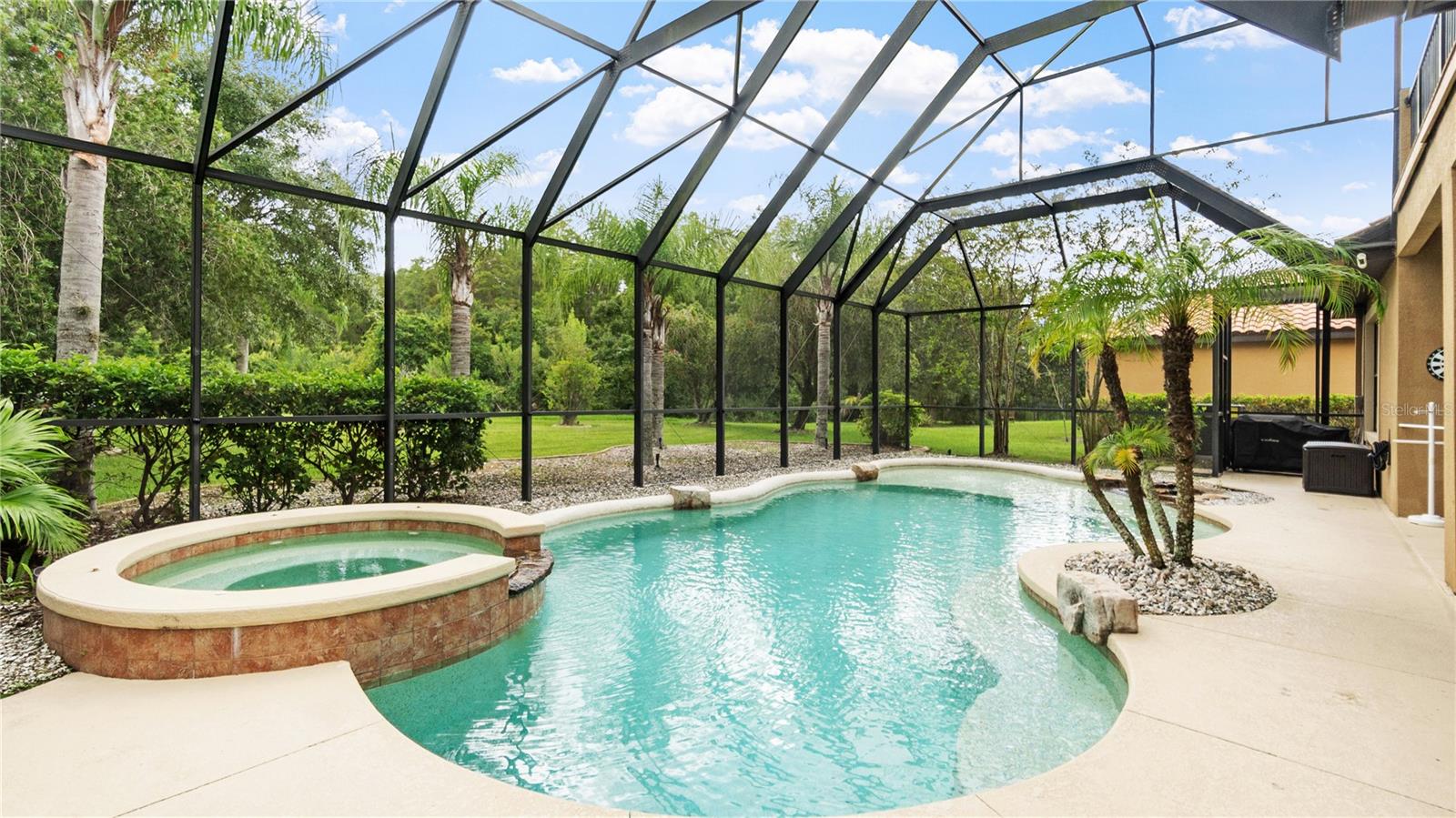 20023 PERGOLA BEND LN, TAMPA, FL, 33647