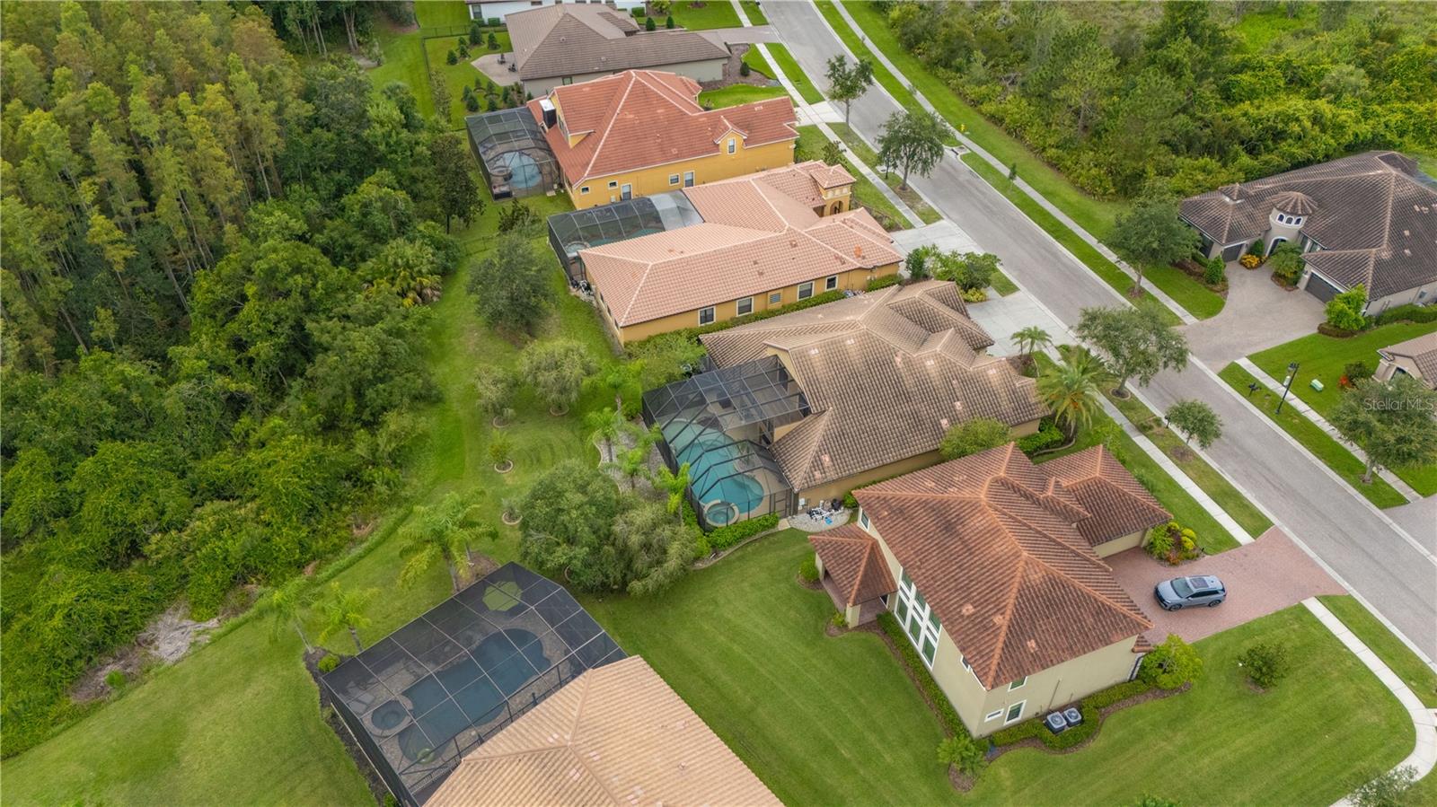 20023 PERGOLA BEND LN, TAMPA, FL, 33647