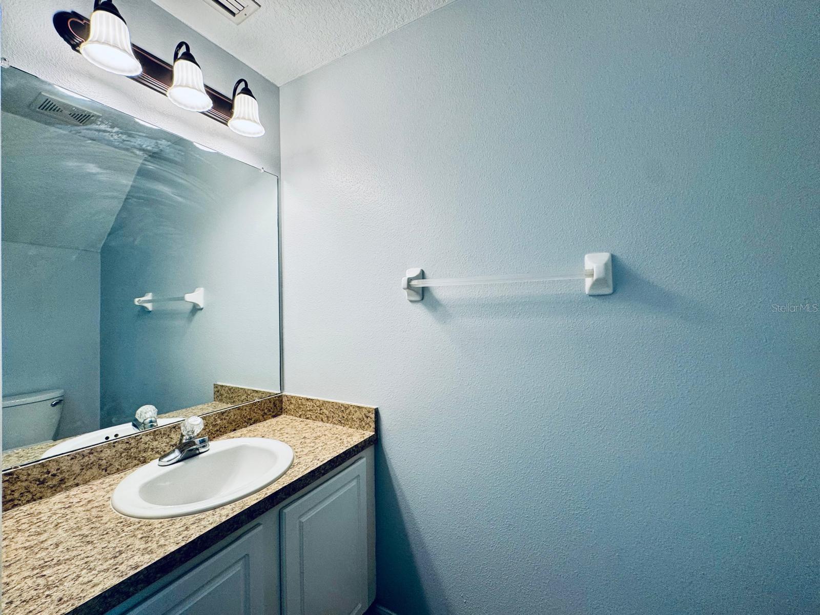 15833 FISHHAWK FALLS DR, LITHIA, FL, 33547