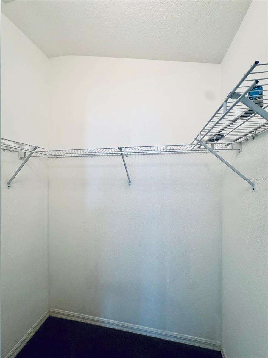 15833 FISHHAWK FALLS DR, LITHIA, FL, 33547