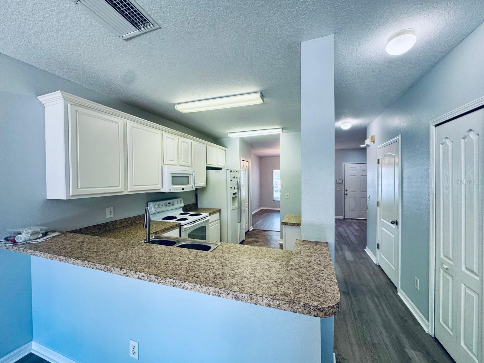 15833 FISHHAWK FALLS DR, LITHIA, FL, 33547