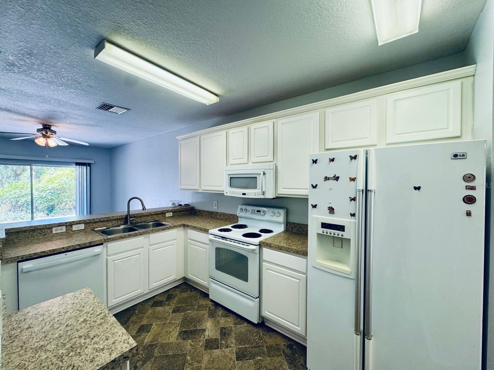 15833 FISHHAWK FALLS DR, LITHIA, FL, 33547