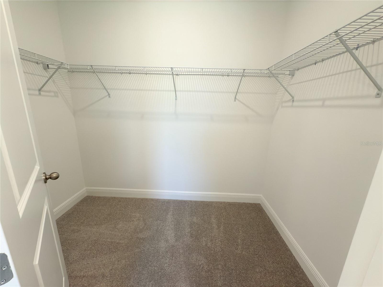 13160 CALMING BREEZE WAY, WINTER GARDEN, FL, 34787