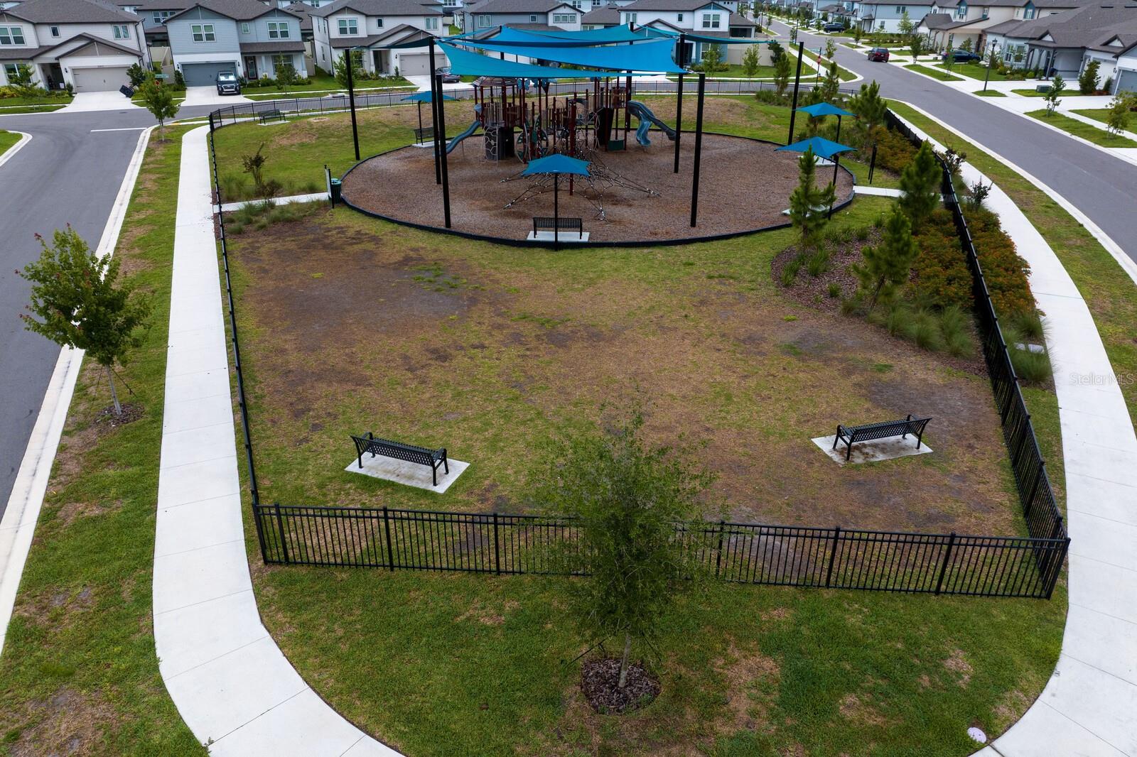 3559 MAPLE BAY LN, LAND O LAKES, FL, 34638