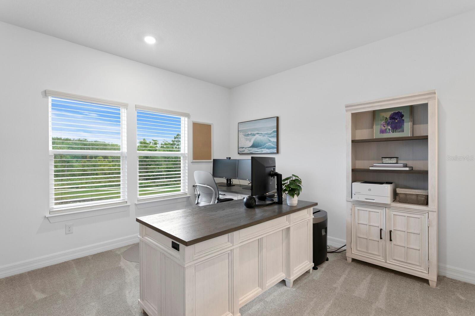 3559 MAPLE BAY LN, LAND O LAKES, FL, 34638