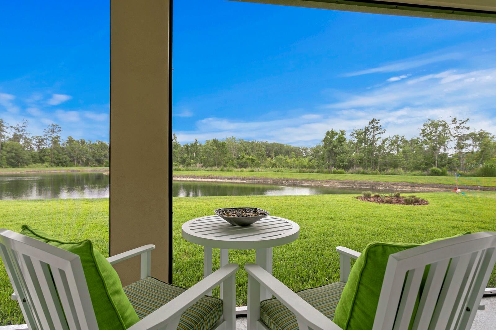 3559 MAPLE BAY LN, LAND O LAKES, FL, 34638