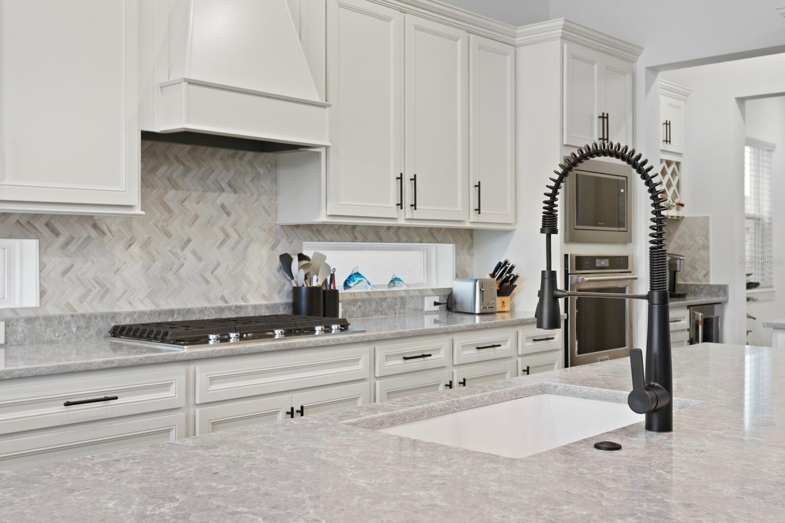 3559 MAPLE BAY LN, LAND O LAKES, FL, 34638