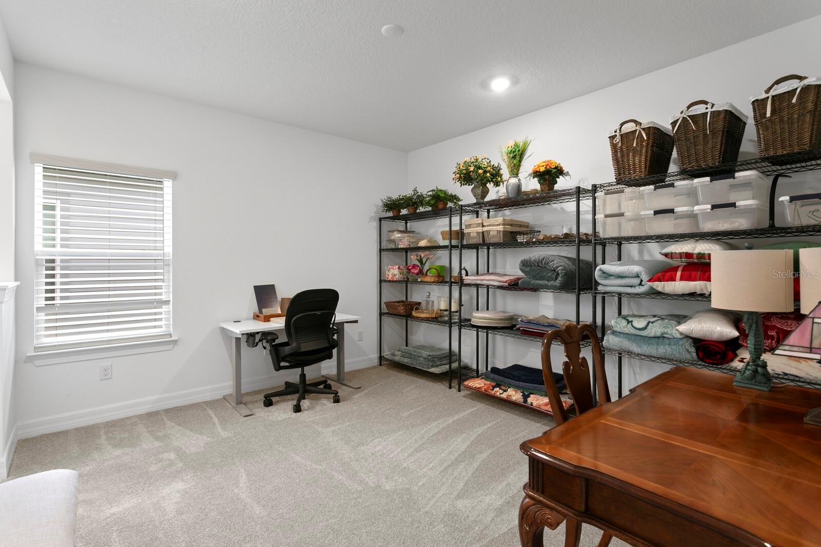 3559 MAPLE BAY LN, LAND O LAKES, FL, 34638