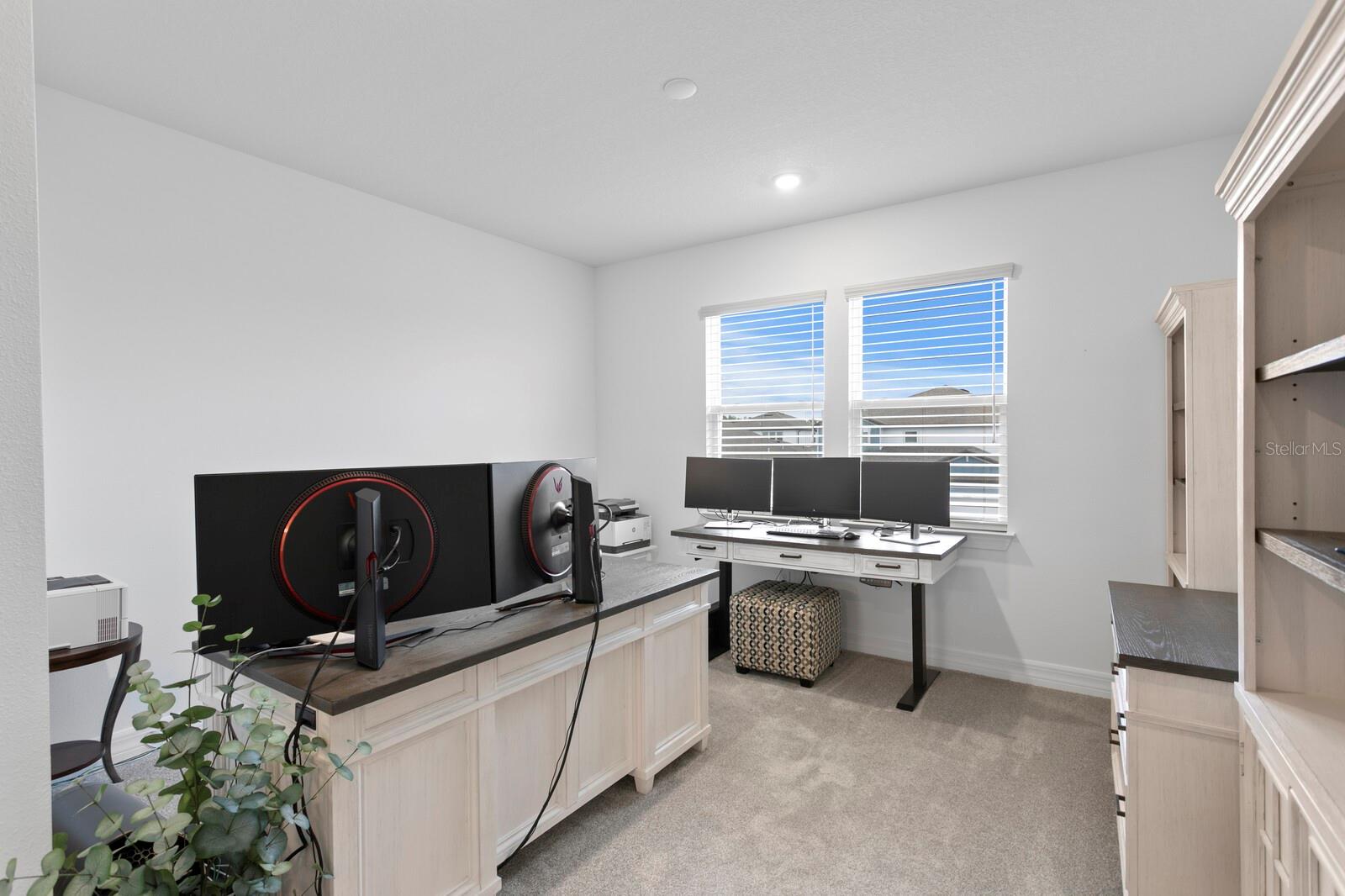 3559 MAPLE BAY LN, LAND O LAKES, FL, 34638