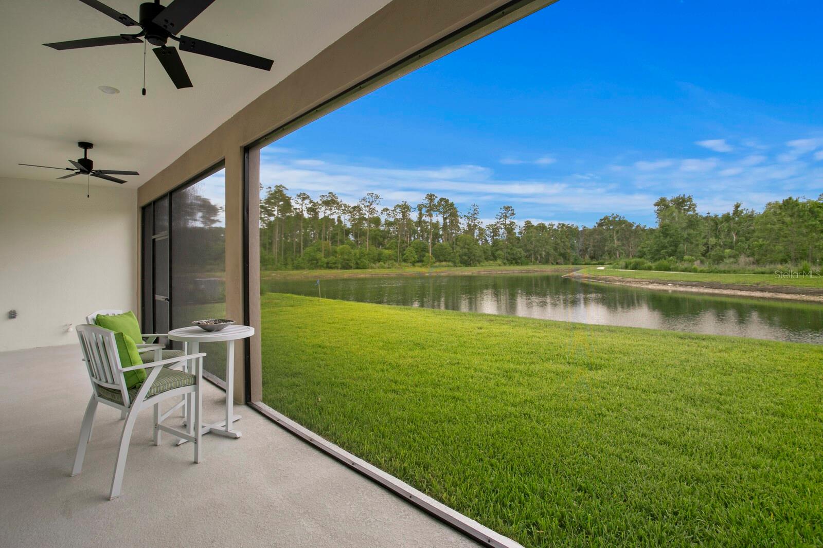 3559 MAPLE BAY LN, LAND O LAKES, FL, 34638