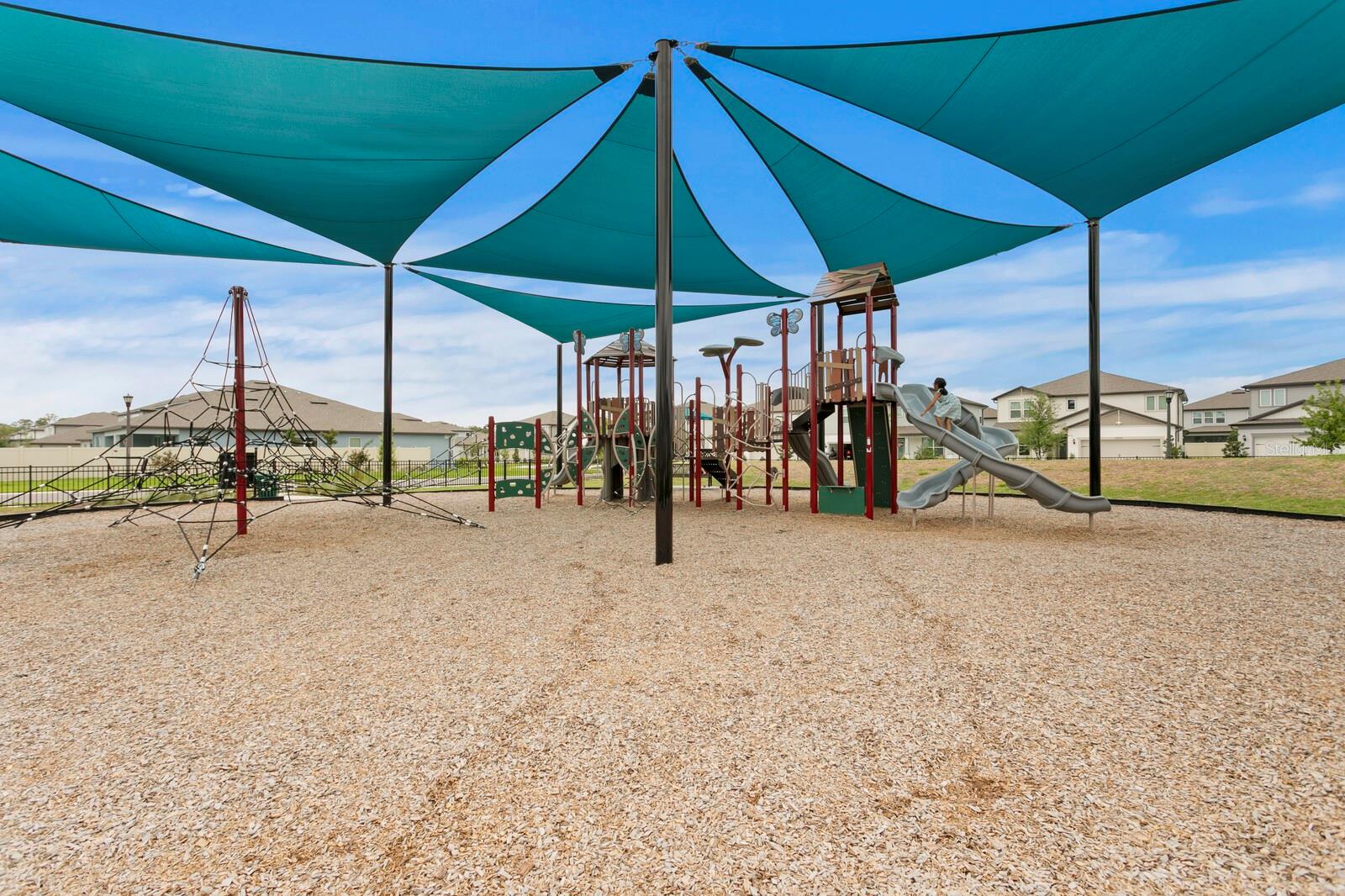 3559 MAPLE BAY LN, LAND O LAKES, FL, 34638