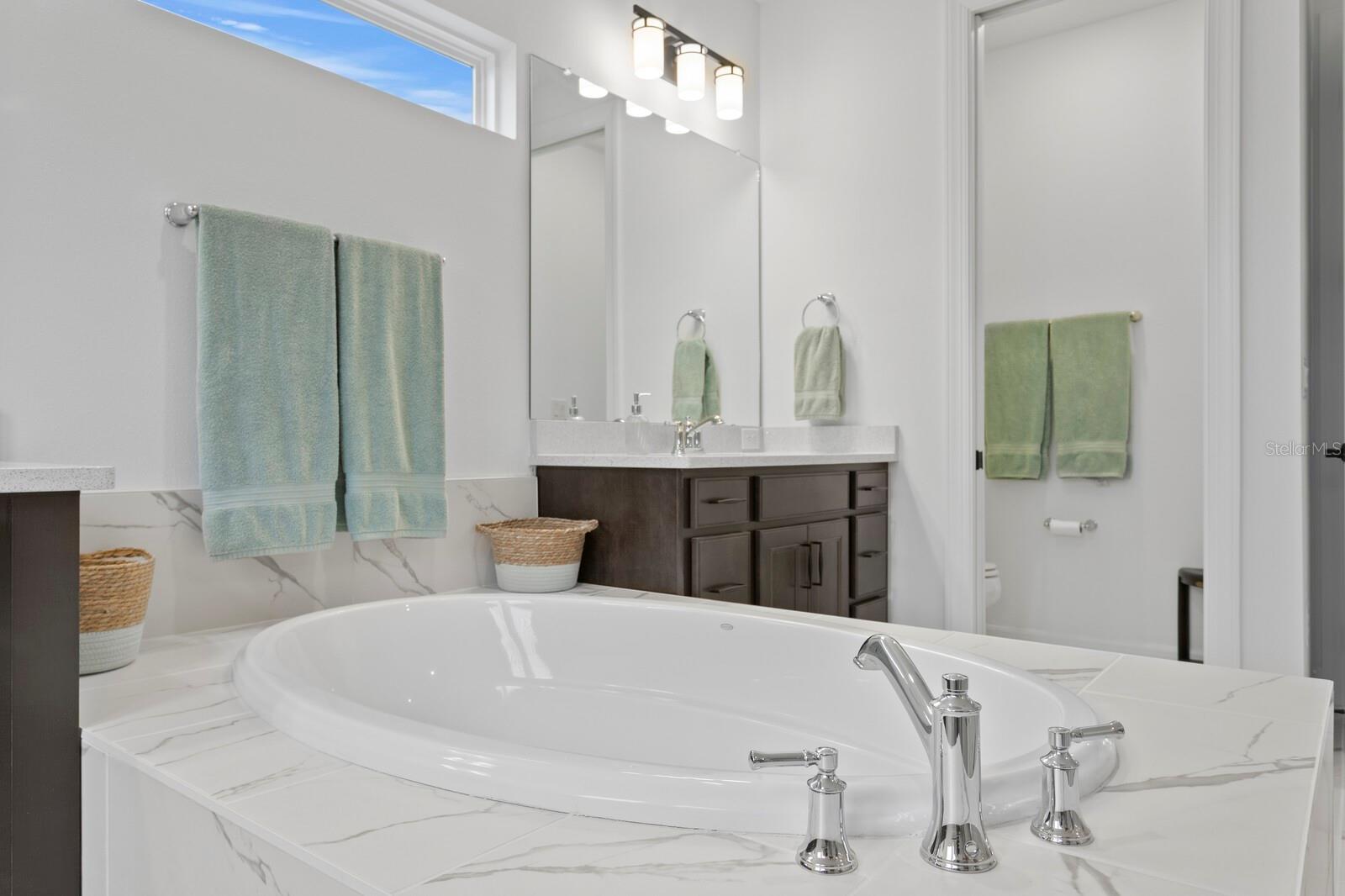 3559 MAPLE BAY LN, LAND O LAKES, FL, 34638