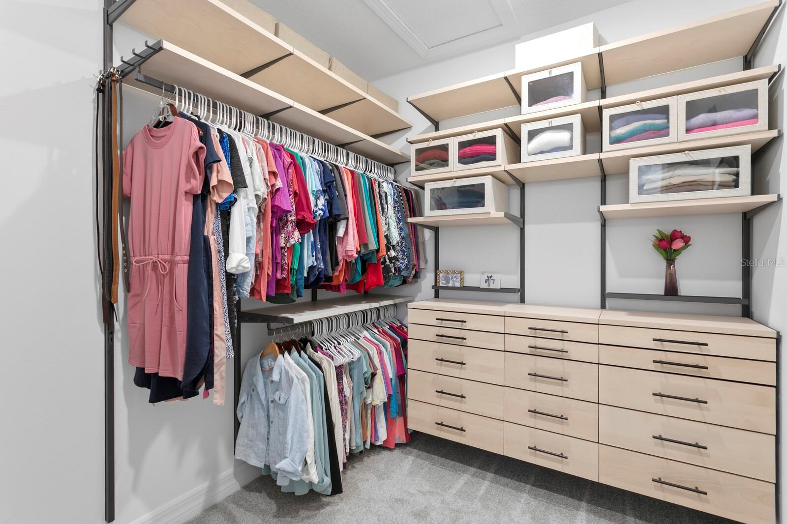 3559 MAPLE BAY LN, LAND O LAKES, FL, 34638