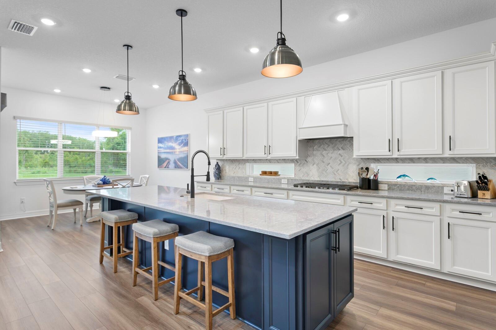 3559 MAPLE BAY LN, LAND O LAKES, FL, 34638