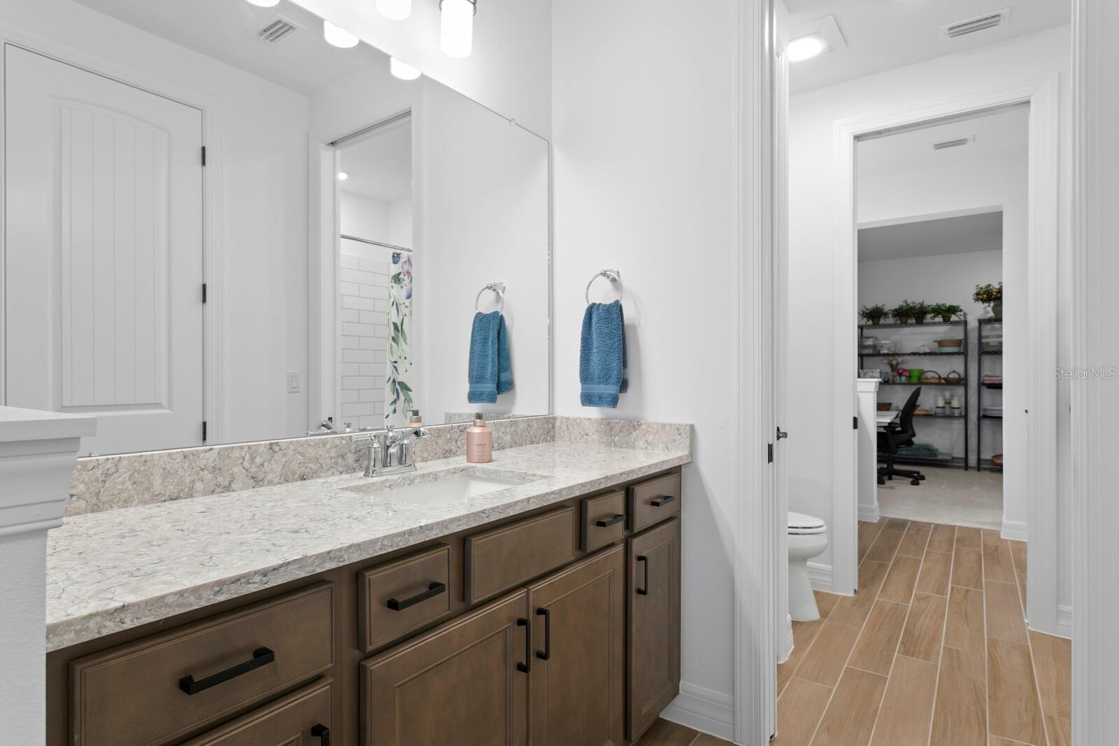 3559 MAPLE BAY LN, LAND O LAKES, FL, 34638