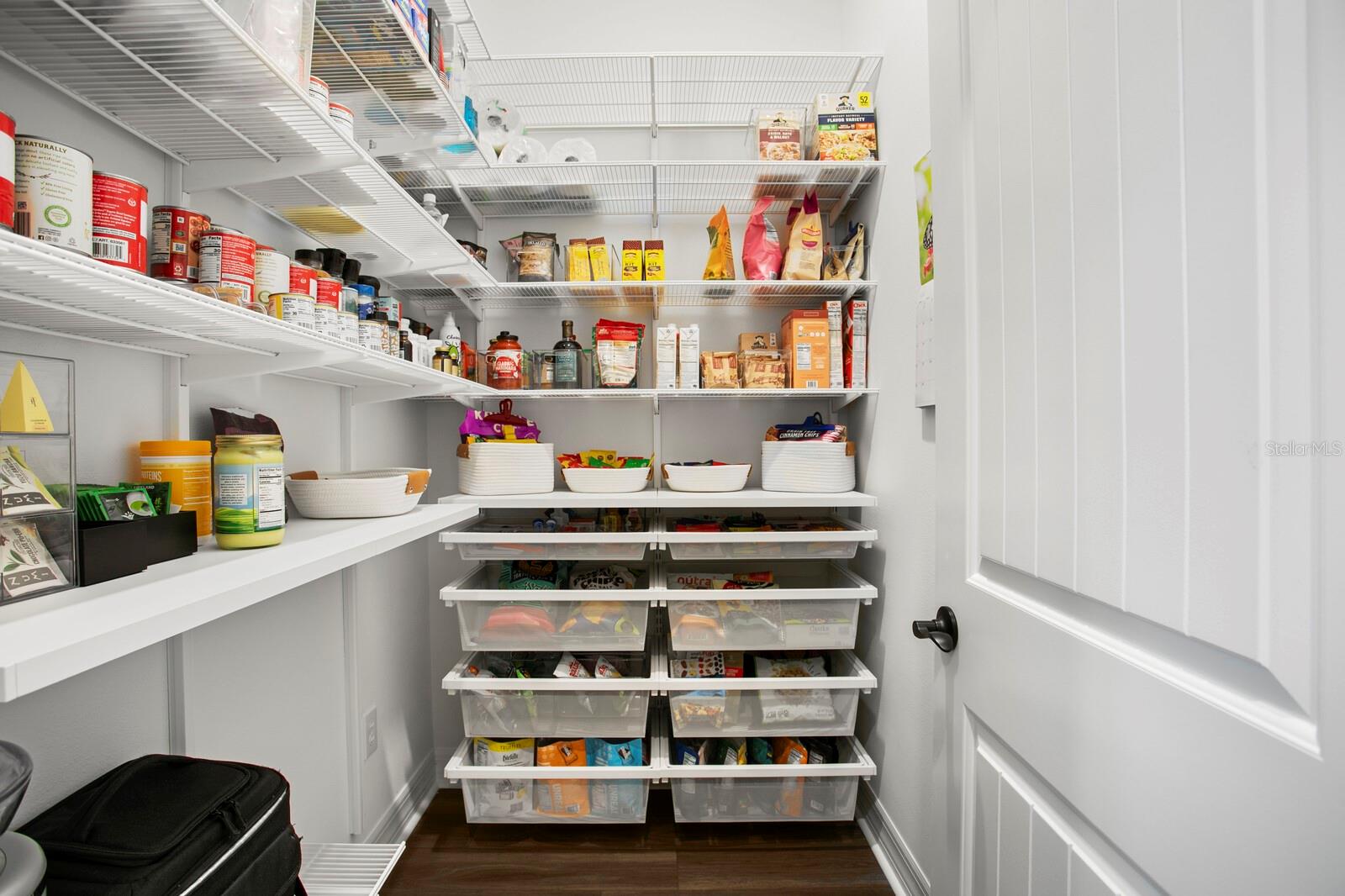 3559 MAPLE BAY LN, LAND O LAKES, FL, 34638