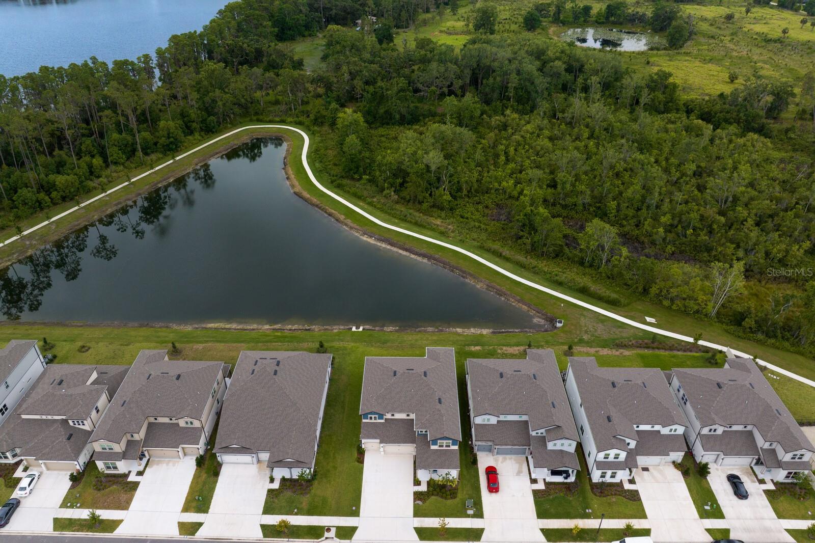 3559 MAPLE BAY LN, LAND O LAKES, FL, 34638